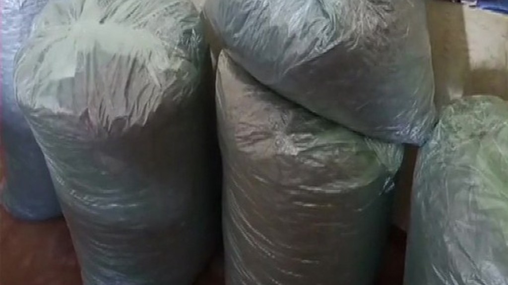 43 Kg Of Cannabis