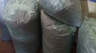 43 Kg Of Cannabis