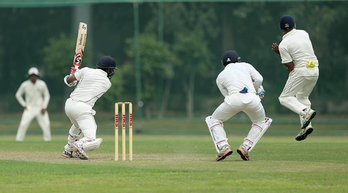 Cricket