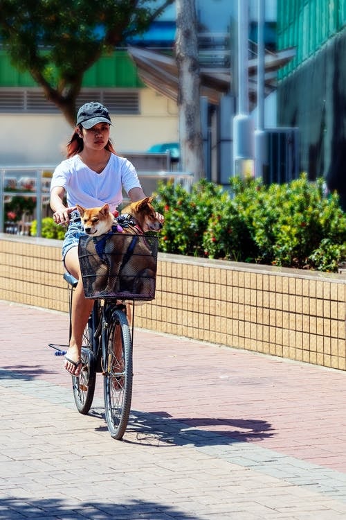 World Bicycle Day 2022