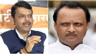 FADNVIS AND AJIT PAWAR