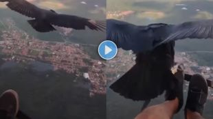 Flying high with bird