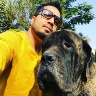 Mika Singh Birthday Special