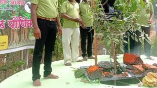 Husbands Perform Pimpal Purnima