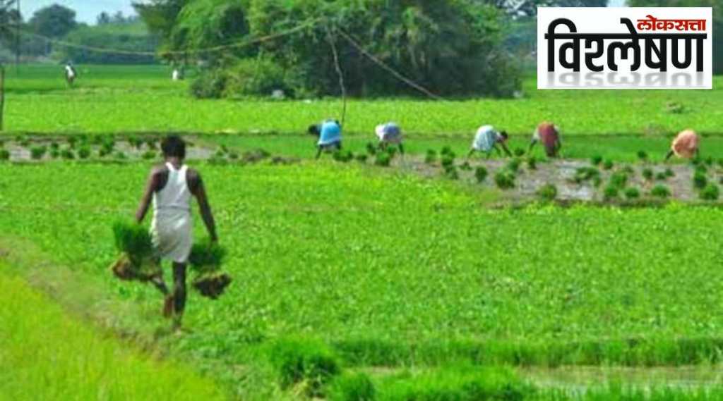 Loksatta Explained farming sri lanka