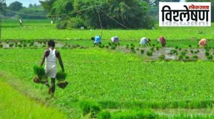 Loksatta Explained farming sri lanka