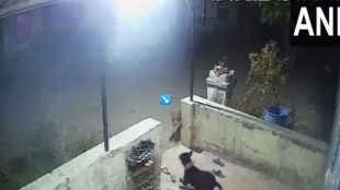 Leopard, Nashik, Leopard Attack Dog,