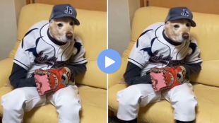 Is it a dog or a man?