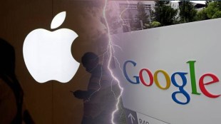 apple own search engine