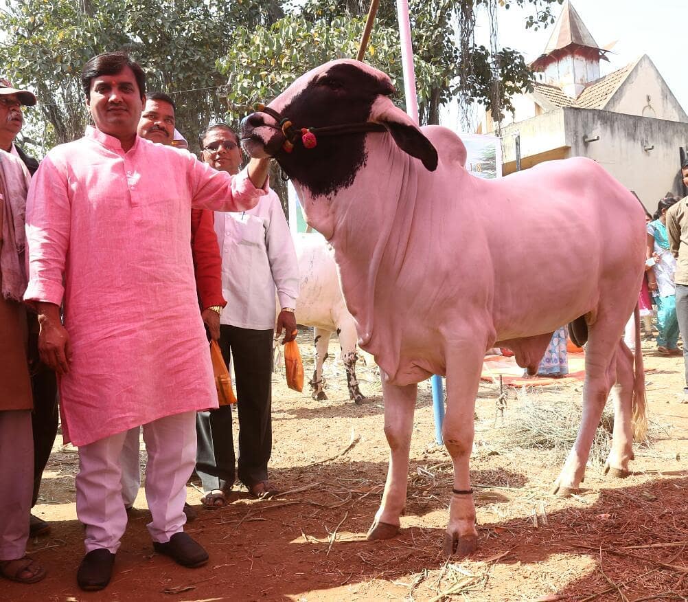 Who is BJP Dhananjay Mahadik