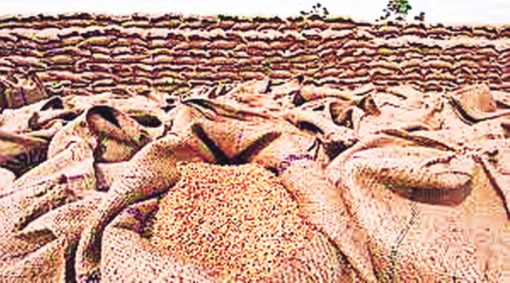( प्रतिनिधिक छायाचित्र )