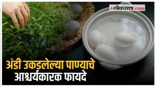 boiled egg Water Benefits