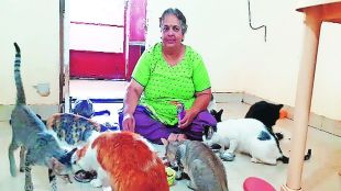 рдордорддрд╛ рд░рд┐рд╕рдмреВрдб