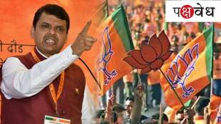 devendrfa fadnavis bjp politics