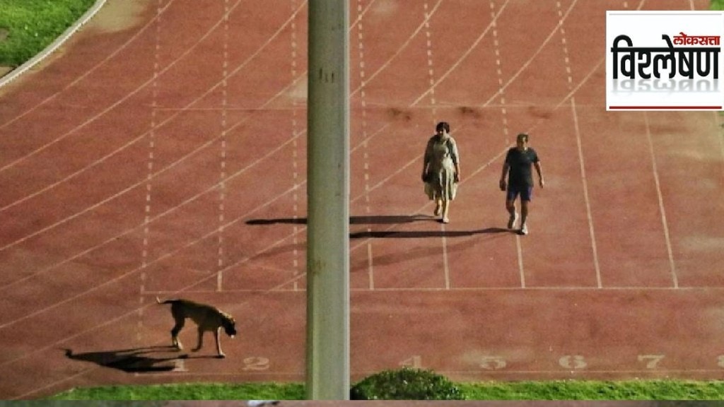 dog walk row ias