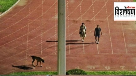 dog walk row ias