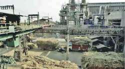 अन्वयार्थ : साखरच हवी की इथेनॉल?