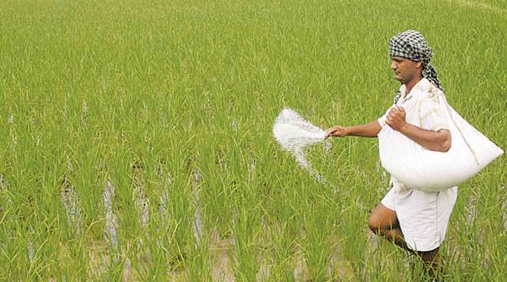 farmer