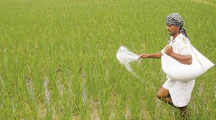 farmer