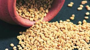 fenugreek seed benefits