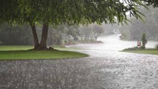 seasonal rains