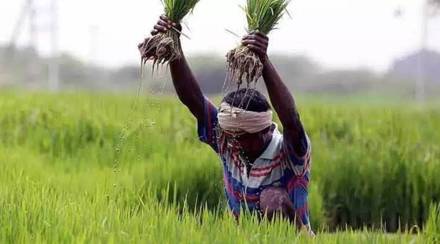 kharif-2 kharif-2