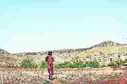 पावसाने दडी मारल्याने अर्थकारण अडचणीत