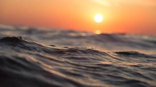 World Ocean Day 2022 History & Importance