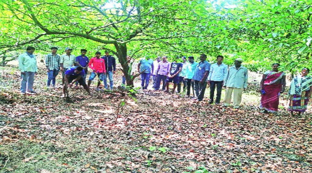 फळपीक विमा वाढीचा संताप:सहाशे टक्के वाढ; रक्कम भरण्यासाठी जिल्ह्यातील शेतकऱ्यांची असमर्थता