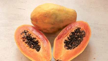 papaya