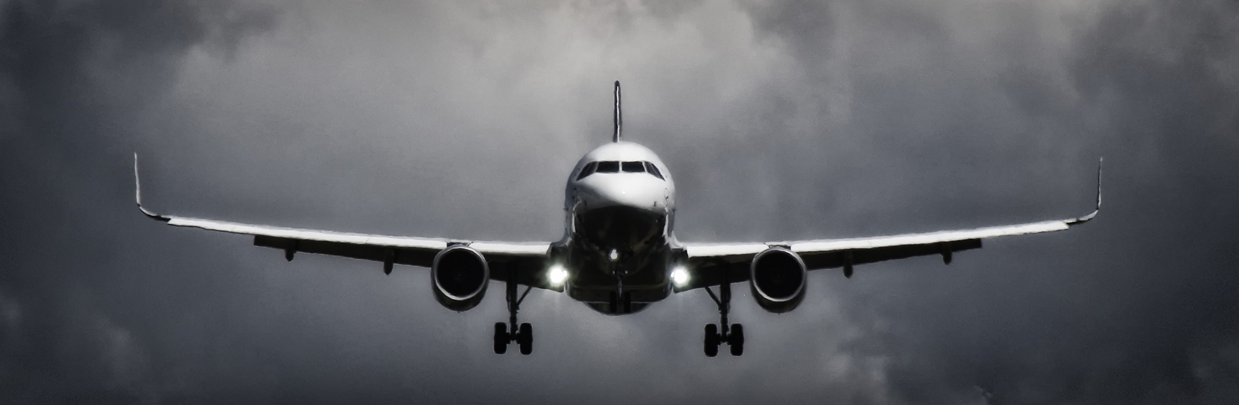 plane Horns
