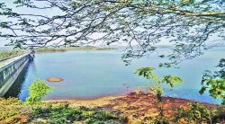 पालघर जिल्ह्यामध्ये मुबलक पाणीसाठा; जुलैपर्यंत पुरेल इतके पाणी 