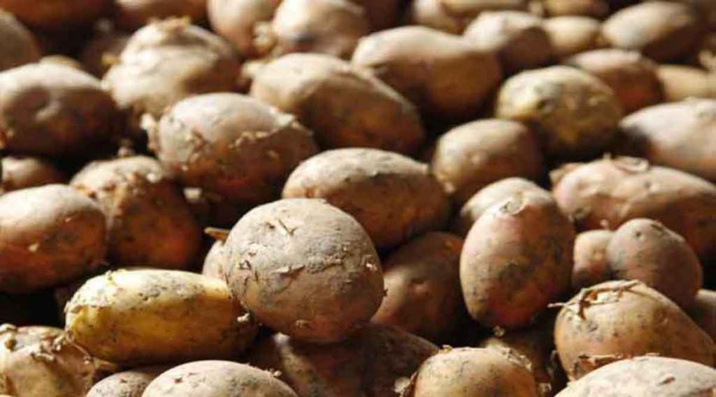 potato potato