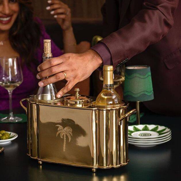 Priyanka chopra Priyanka chopra new venture