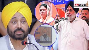 punjab politics bhagwant mann