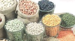 शासकीय धान्य वाटप करणाऱ्या वाहनांना जीपीएस प्रणाली बंधनकारक; धान्य वाटपातील काळाबाजार रोखण्यास होणार मदत