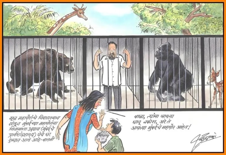 Raj Thackeray Birthday Special When MNS Chief mocks Modi Amit Shah fadnavis Uddhav Thackeray through cartoons