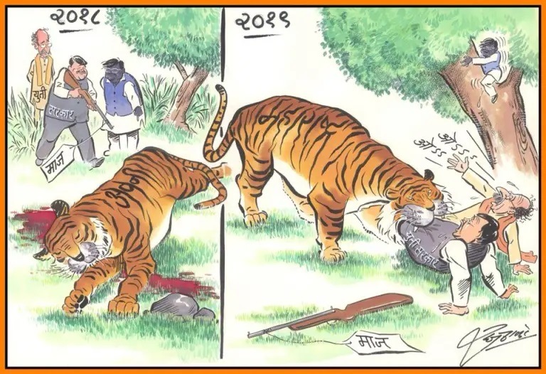Raj Thackeray Birthday Special When MNS Chief mocks Modi Amit Shah fadnavis Uddhav Thackeray through cartoons