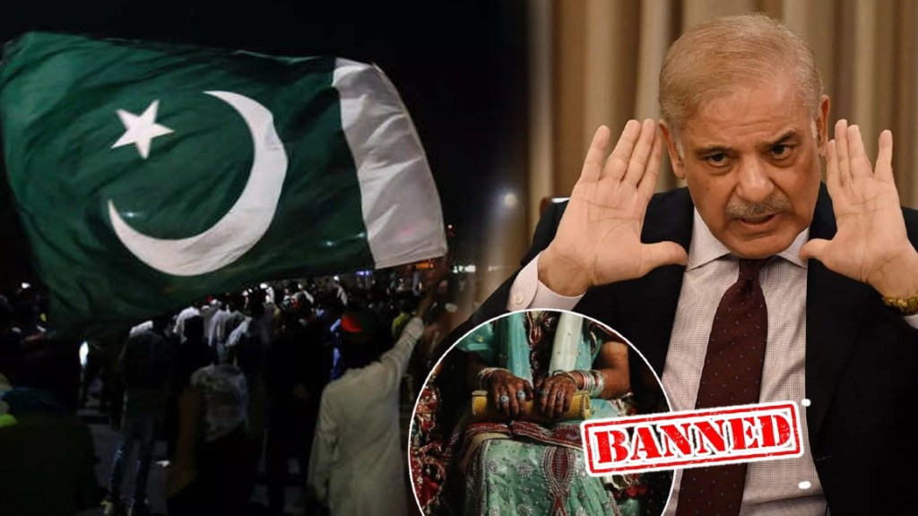 shehbaz sharif government