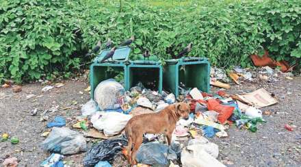 vasai virar kachra