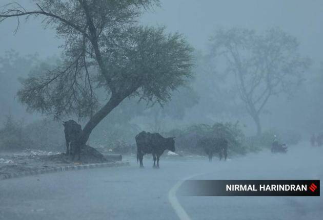 मुसळधार पावसामुळे गुजरातमधील अनेक जिल्ह्यांमध्ये सरकारने रेड अलर्ट जारी केला आहे. ( फोटो साभार : द इंडियन एक्सप्रेस )