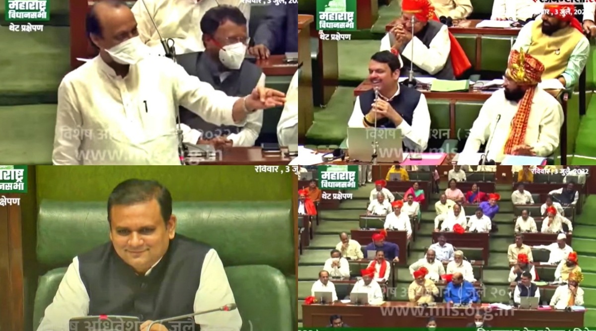 Ajit Pawar Eknath Shinde Assembly Session 2