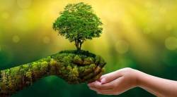 चतु:सूत्र (एकात्म मानववाद) : सर्वाच्या हिताचा आर्थिक विचार