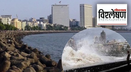 What are tetrapods Marine Drive