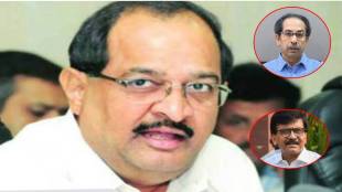 RADHAKRISHNA VIKHE PATIL