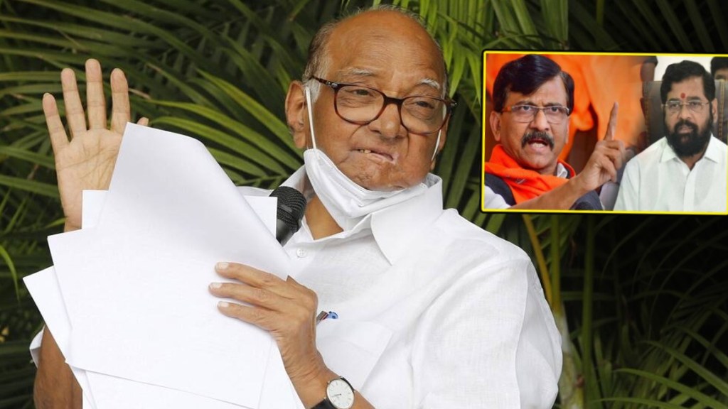 Pawar on Raut