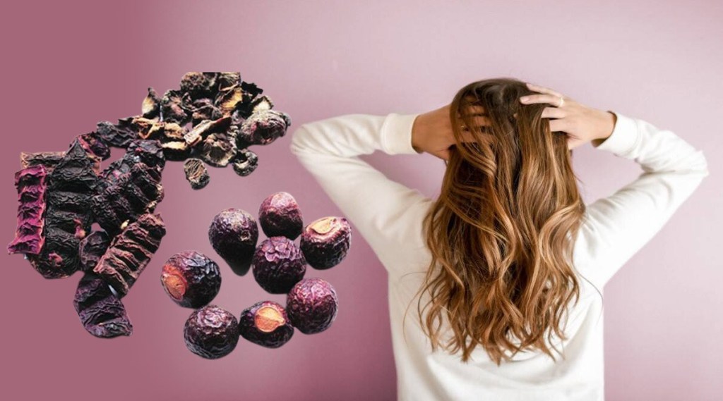 shikakai for hair