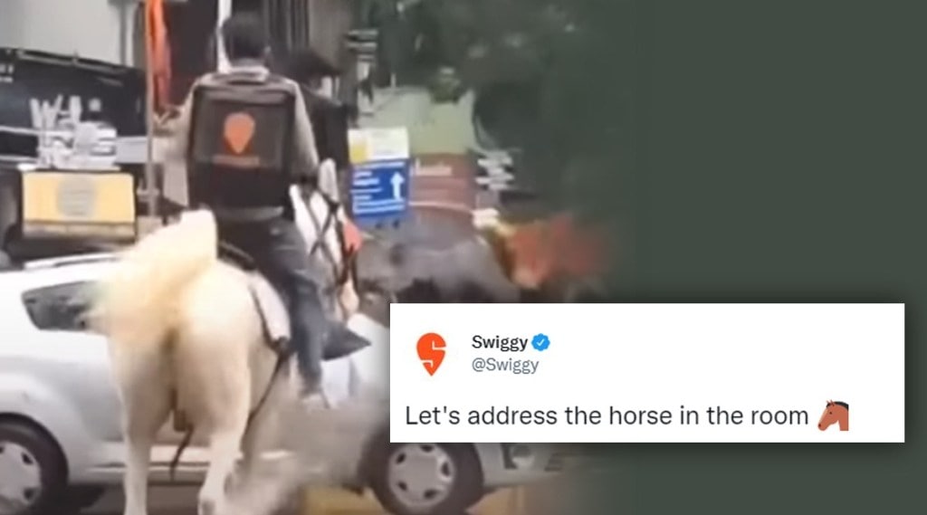 Horse Finder will Rewarded by Swiggy