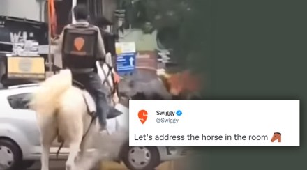 Horse Finder will Rewarded by Swiggy