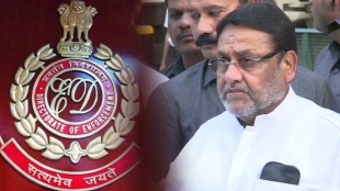 ED opposes nawab malik bail petition said malik has active role in money laundering Case spb